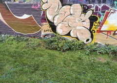 Photo #248143 by iobe1