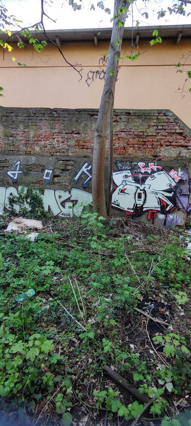 Graffiti Street Art in Leipzig - Photo by JOK (2025)