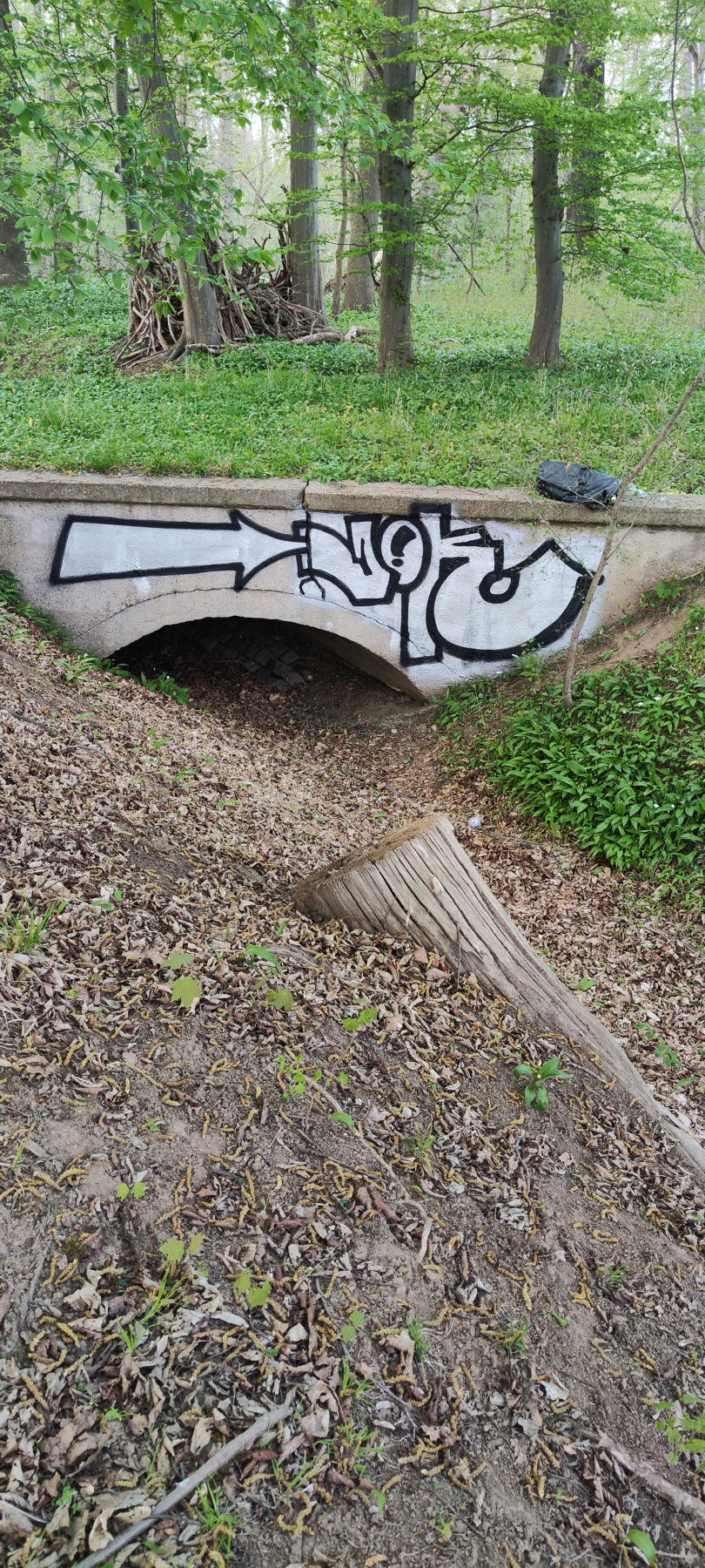 Graffiti Bombing in Leipzig - Photo by JOK (2024)