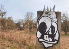 Photo #249288 by KNOCHEN