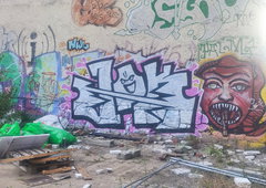 Photo #251384 by iobe1