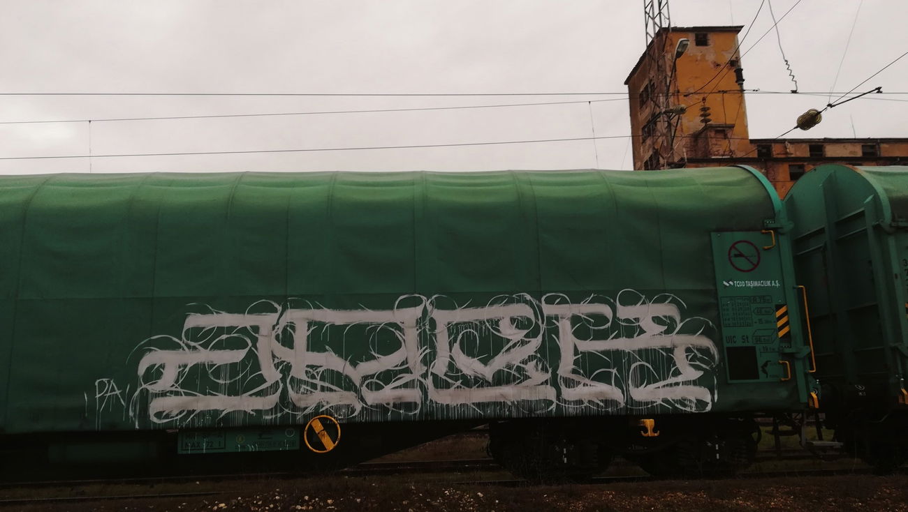 Graffiti Train in Sofia - Photo by JackPA