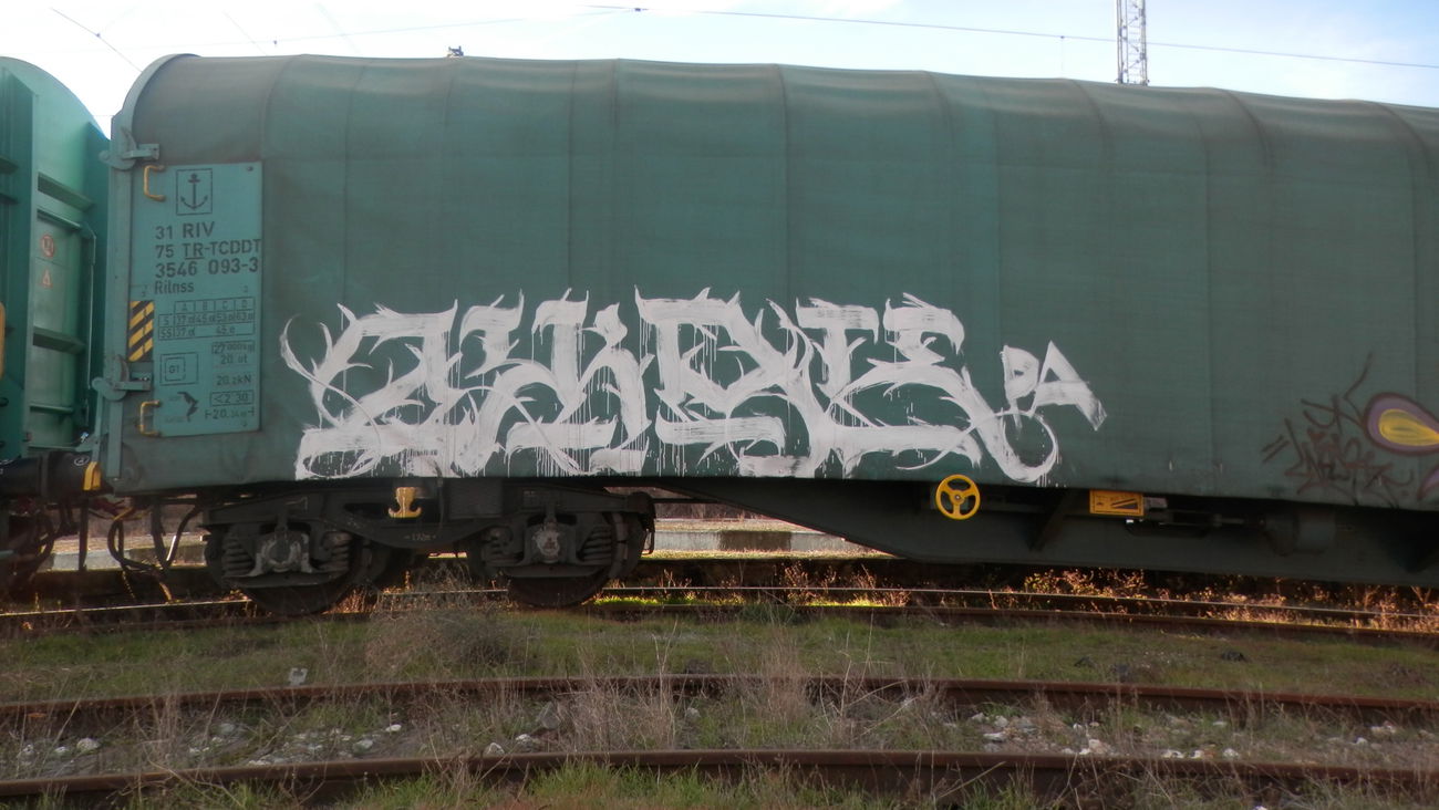 Graffiti Train in Sofia - Photo by JackPA