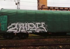 Photo #248312 by ion