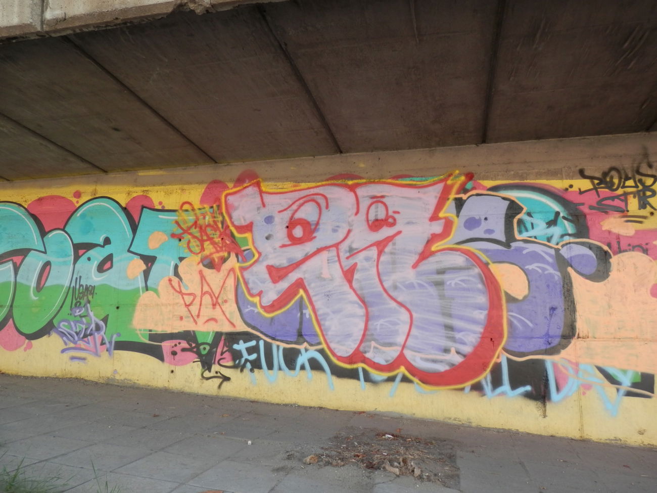 Graffiti Bombing in Sofia - Photo by JackPA - Bulgaria (2015)