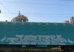 Photo #248313 by iobe1