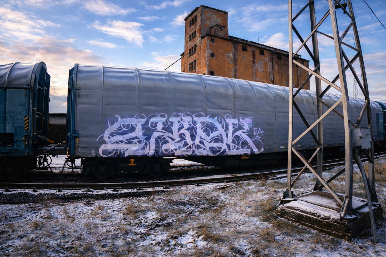 Graffiti Bombing - Photo by JackPA