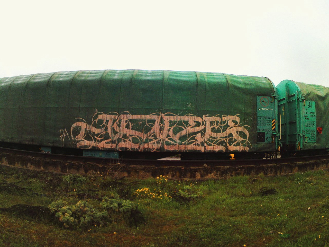 Graffiti Bombing - Photo by JackPA