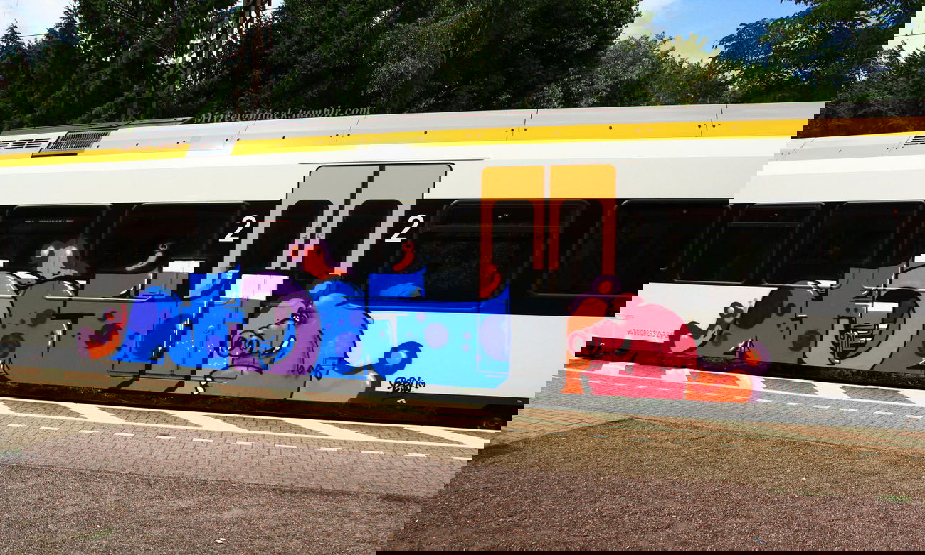 Graffiti Train - Photo by Jacques - Föns, Re3 (2013)