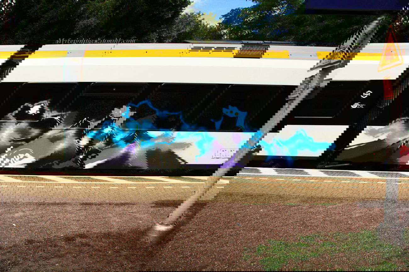 Graffiti Train - Photo by Jacques - Re3, Rois, Imr (2013)