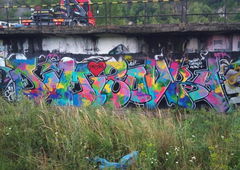 Photo #5959 by sunsnv