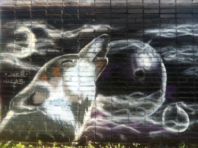 Graffiti Artwork - Photo by JakeDe