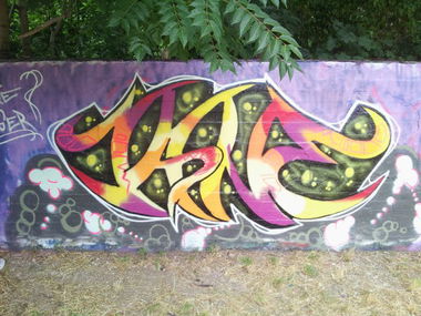 Graffiti Wall - Photo by Jane_68 - Jane, Restepiece, Spiegelpark (2013)