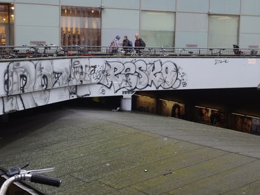 Graffiti Bombing - Photo by JemandAnders - roza, resko