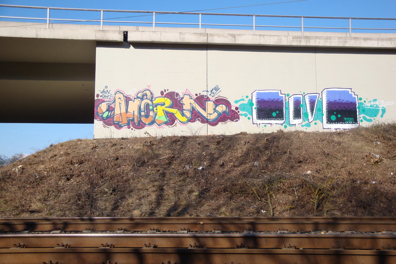 Graffiti Wall - Photo by JemandAnders - ahorn, 1+1, ash