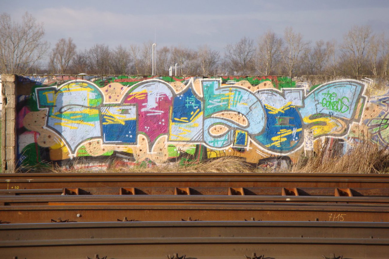 Graffiti Wall - Photo by JemandAnders - THE, GONZOS