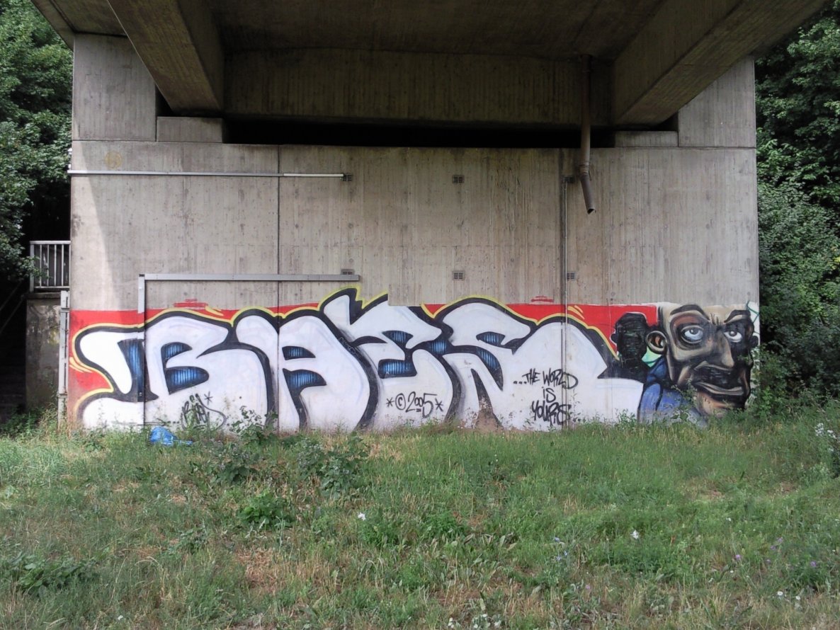 Graffiti Bombing - Photo by JemandAnders - baes