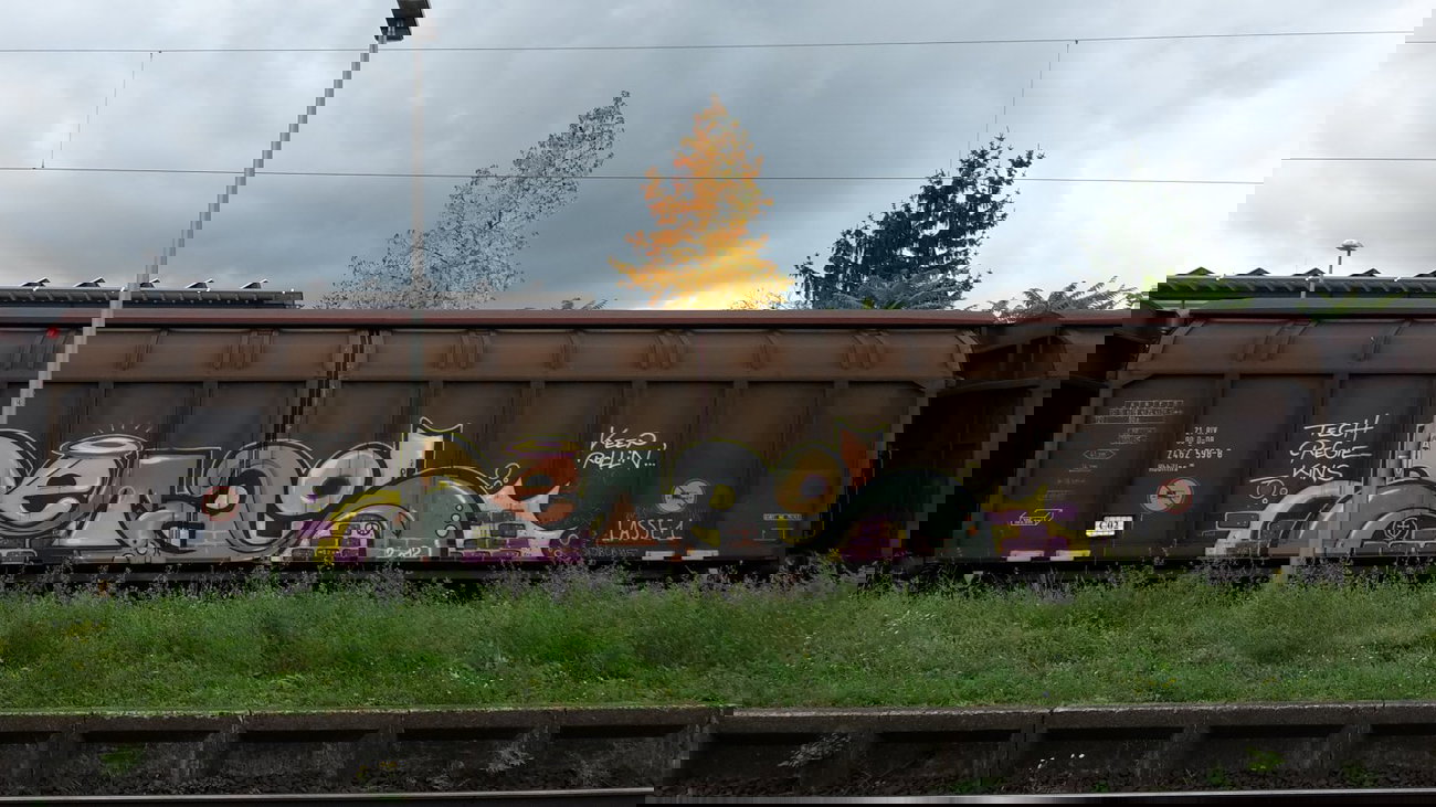 Graffiti Train - Photo by JemandAnders - detail, GMS, fr8