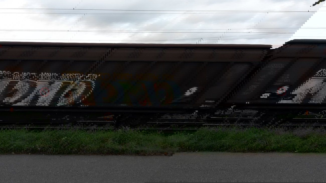 Graffiti Train - Photo by JemandAnders - fr8, Freight