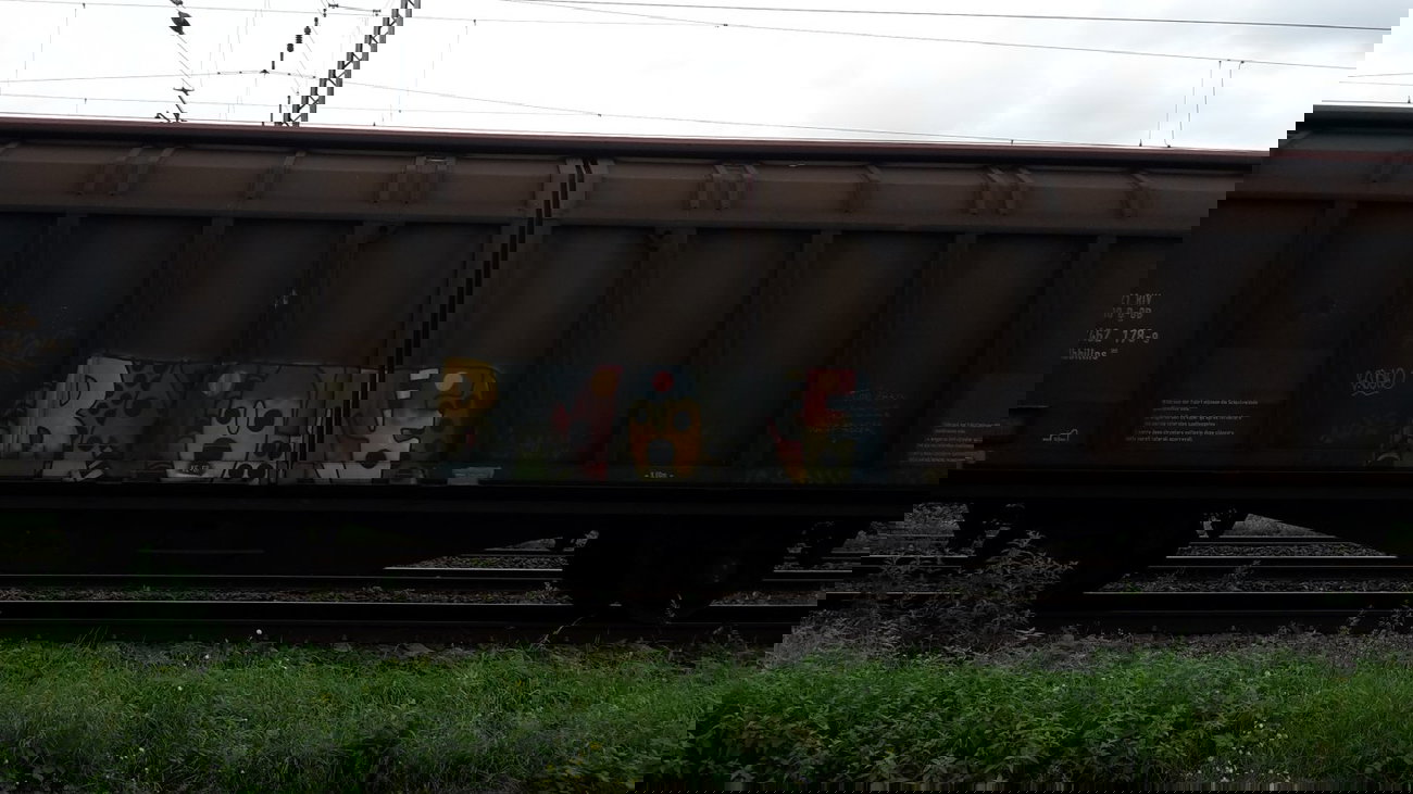 Graffiti Train - Photo by JemandAnders - bnote, fr8, Freight