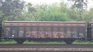 Graffiti Train - Photo by JemandAnders - kobra, fr8, Freight