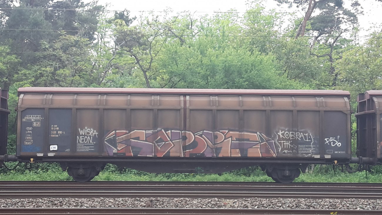 Graffiti Train - Photo by JemandAnders - kobra, fr8, Freight