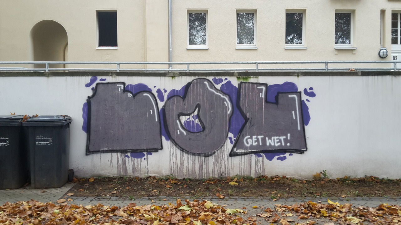Graffiti Bombing - Photo by JemandAnders