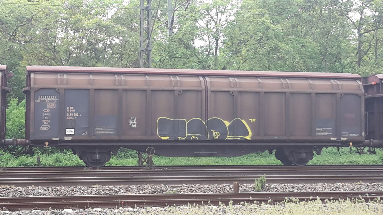 Graffiti Train - Photo by JemandAnders - taps, fr8, Freight