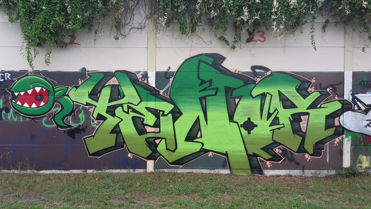 Graffiti Wall - Photo by JemandAnders - tenor, QMZ