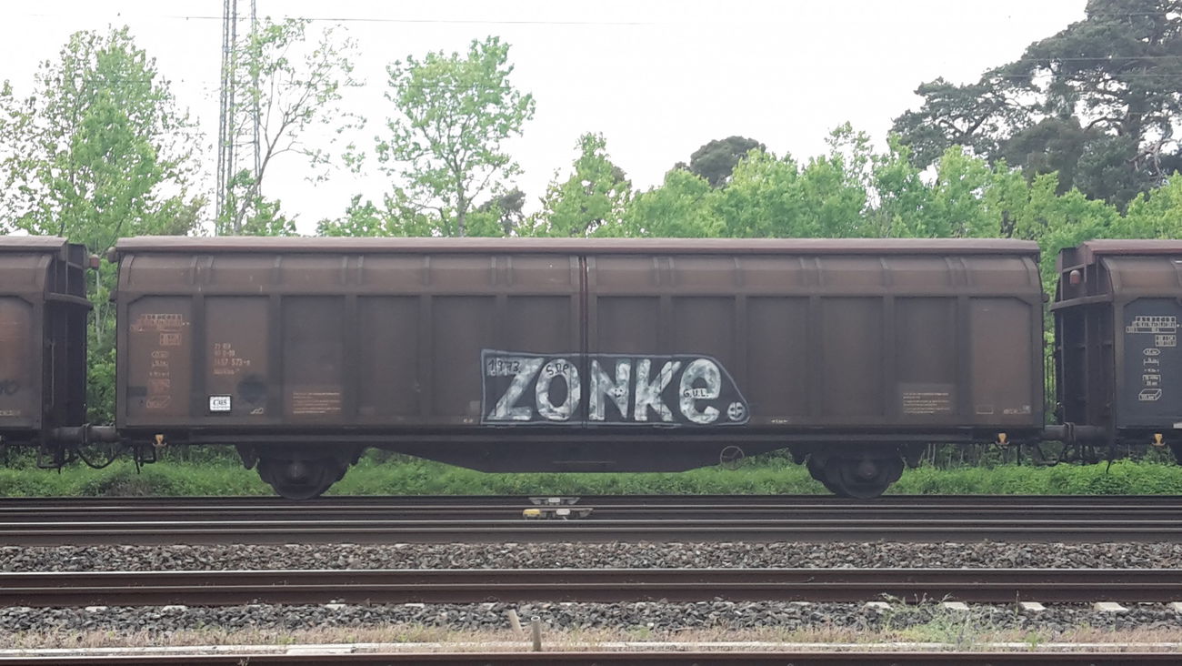 Graffiti Train - Photo by JemandAnders - zonke, fr8, Freight