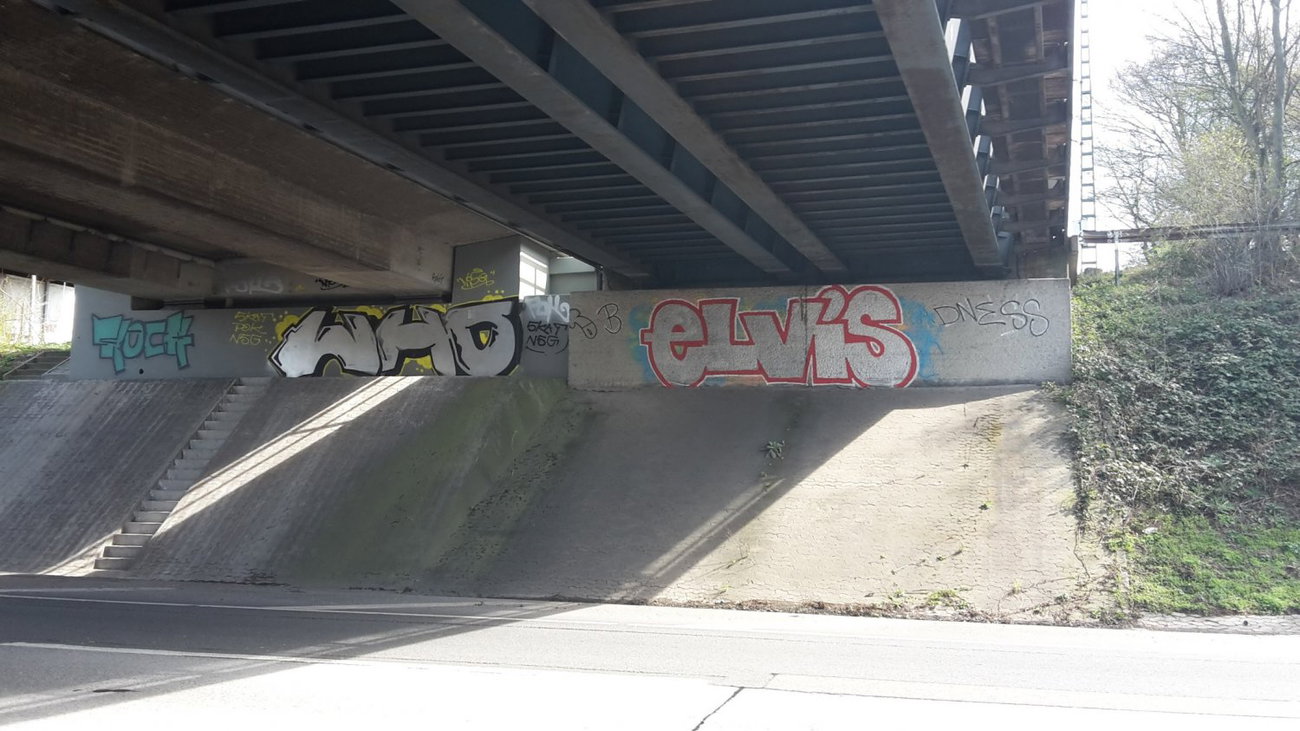 Graffiti Wall - Photo by JemandAnders - WHO, elvis