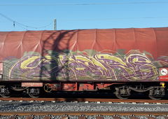 Photo #181949 by 5483r143