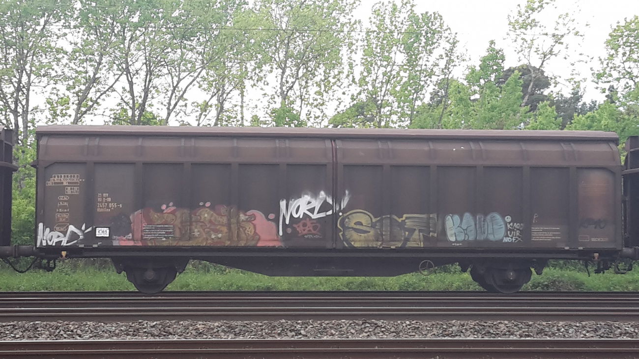 Graffiti Train - Photo by JemandAnders - fr8, Freight