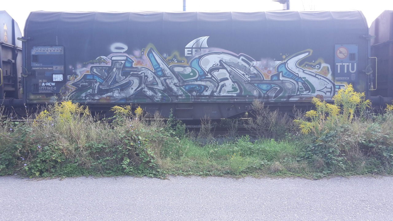 Graffiti Train - Photo by JemandAnders - sekar, Freight, fr8