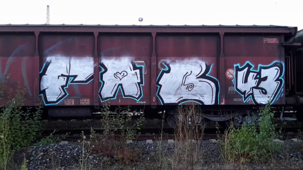 Graffiti Train - Photo by JemandAnders - FAB, 43, Freight