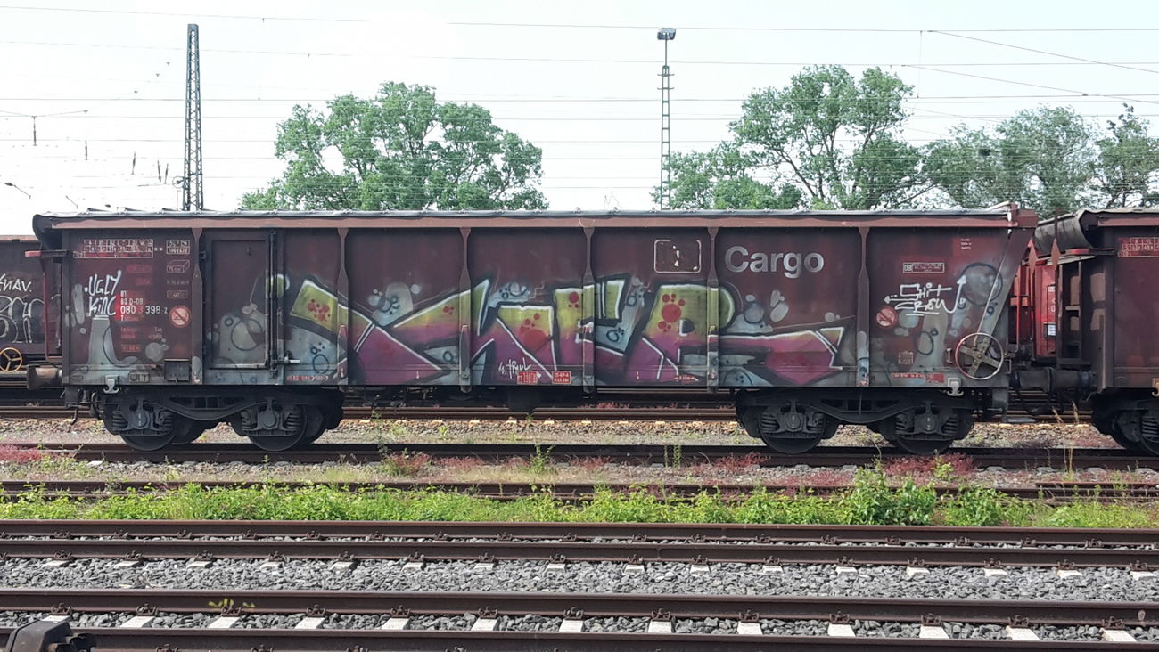 Graffiti Train - Photo by JemandAnders - imer, SHIT, CREW
