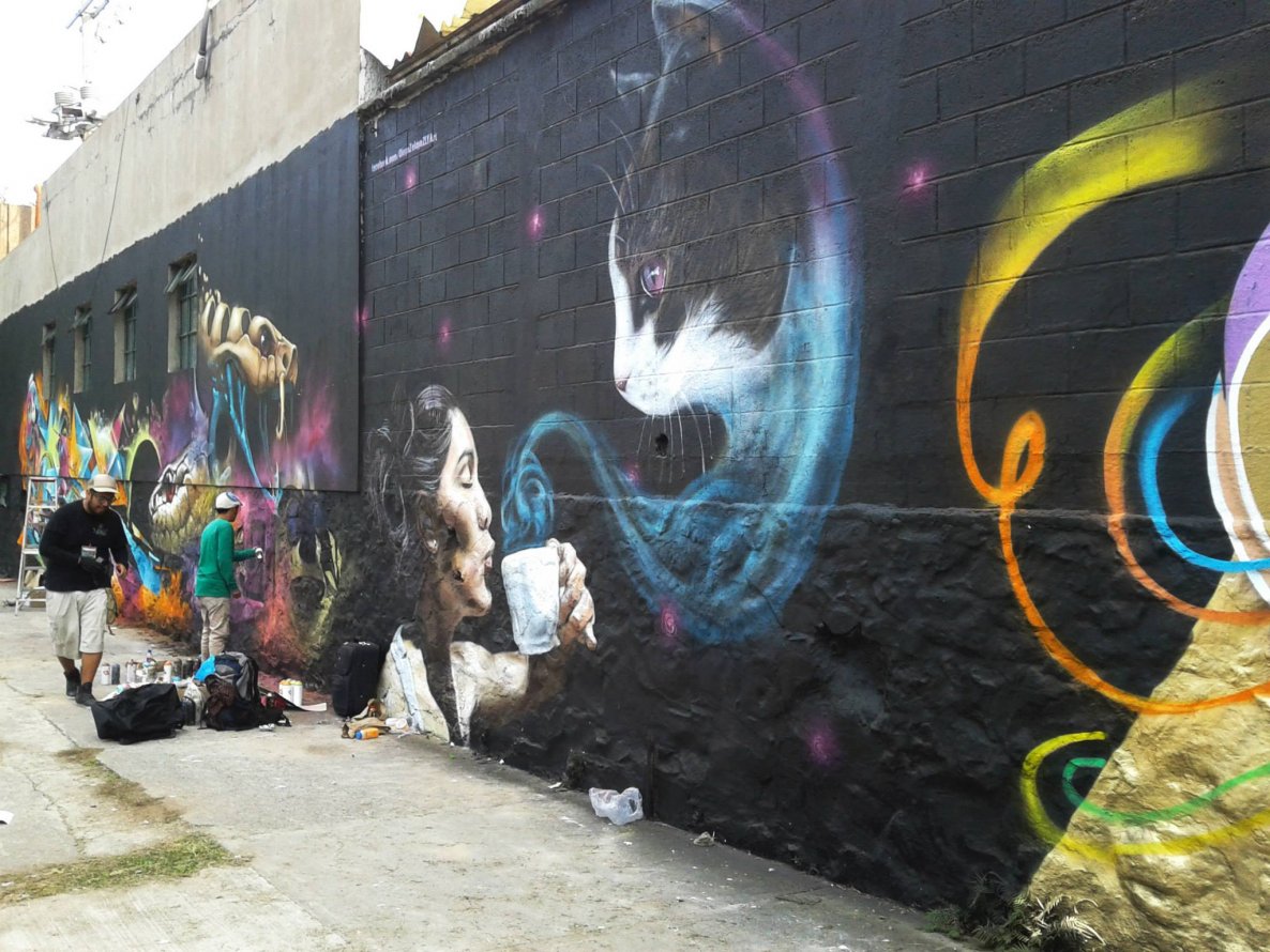 Graffiti Wall in Guadalajara - Photo by Jes - Meeting, Of, Styles (2013)