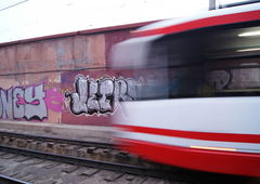 Photo #14005 by orsa