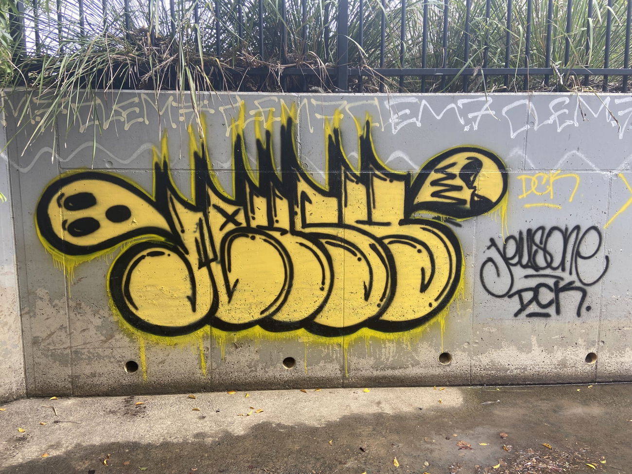 Graffiti Wall in Australia - Photo by Jeusyone (2023)