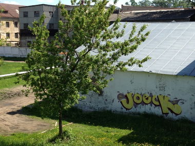 Graffiti Bombing - Photo by Joeck - Joeck