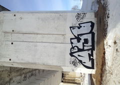 Photo #24511 by Congo