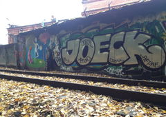 Photo #33559 by PL_PartyZan