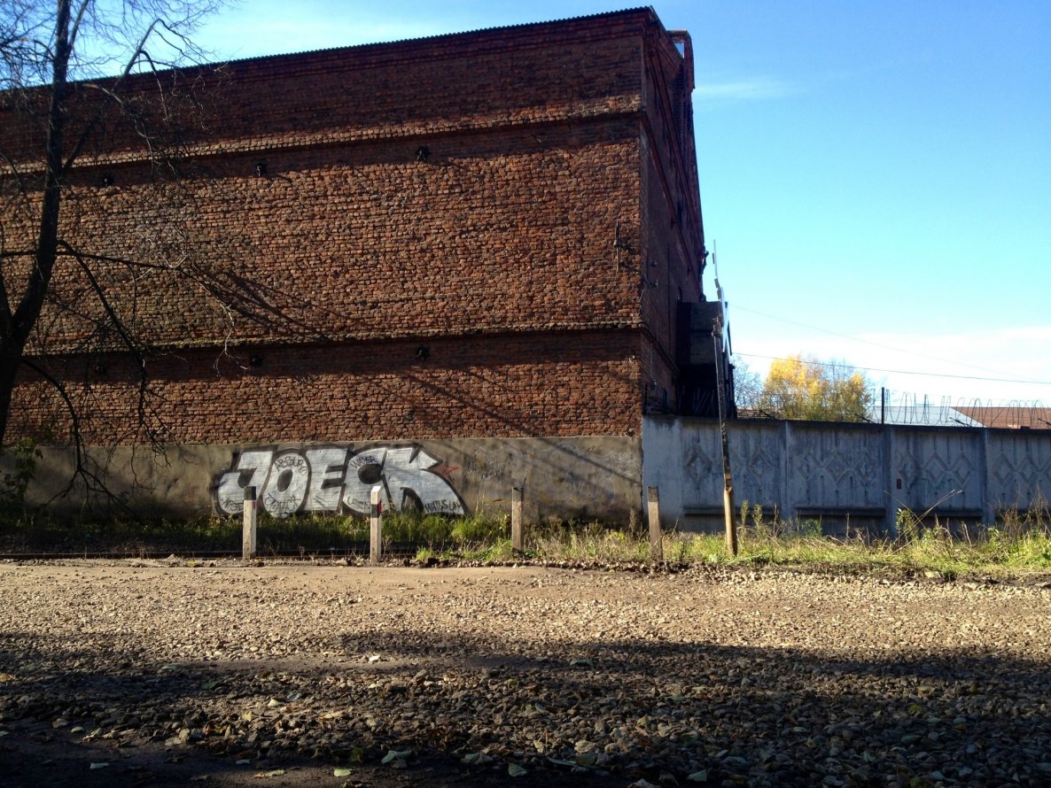 Graffiti Bombing - Photo by Joeck