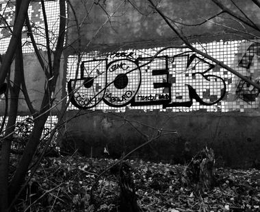 Graffiti Bombing - Photo by Joeck