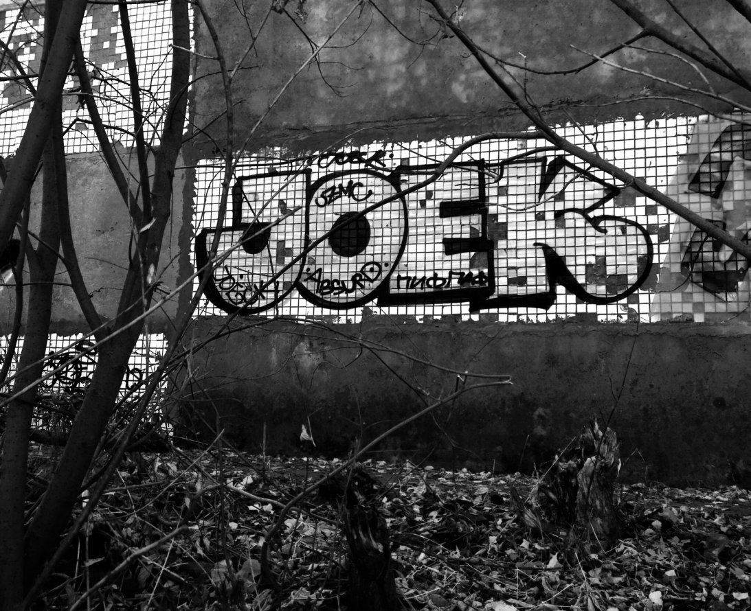 Graffiti Bombing - Photo by Joeck