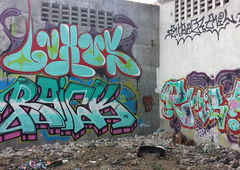 Photo #94656 by TheWallHunter