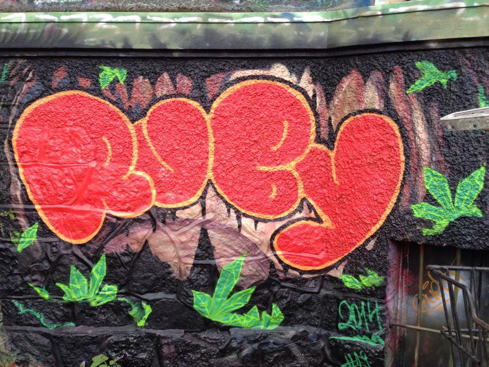 Graffiti Wall - Photo by Jolie - ruby, juzi, göttingen (2014)