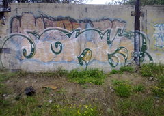 Photo #109421 by Homs