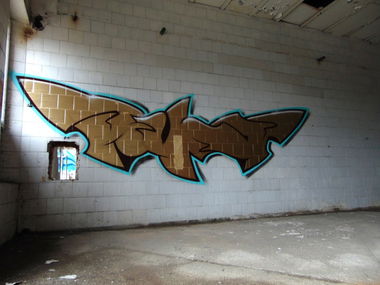 Graffiti Bombing - Photo by JukeOneSi