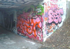 Photo #126331 by tostkopf